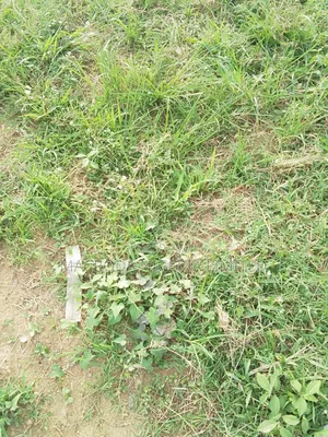 2 Nos Fenced Waterfront Land Available
