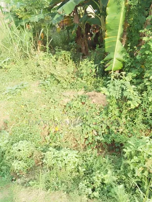 Dry and Well Located Residential Land Available