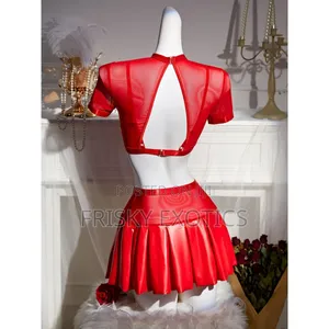 2pcs Lingerie With Pleated Leather Skirt