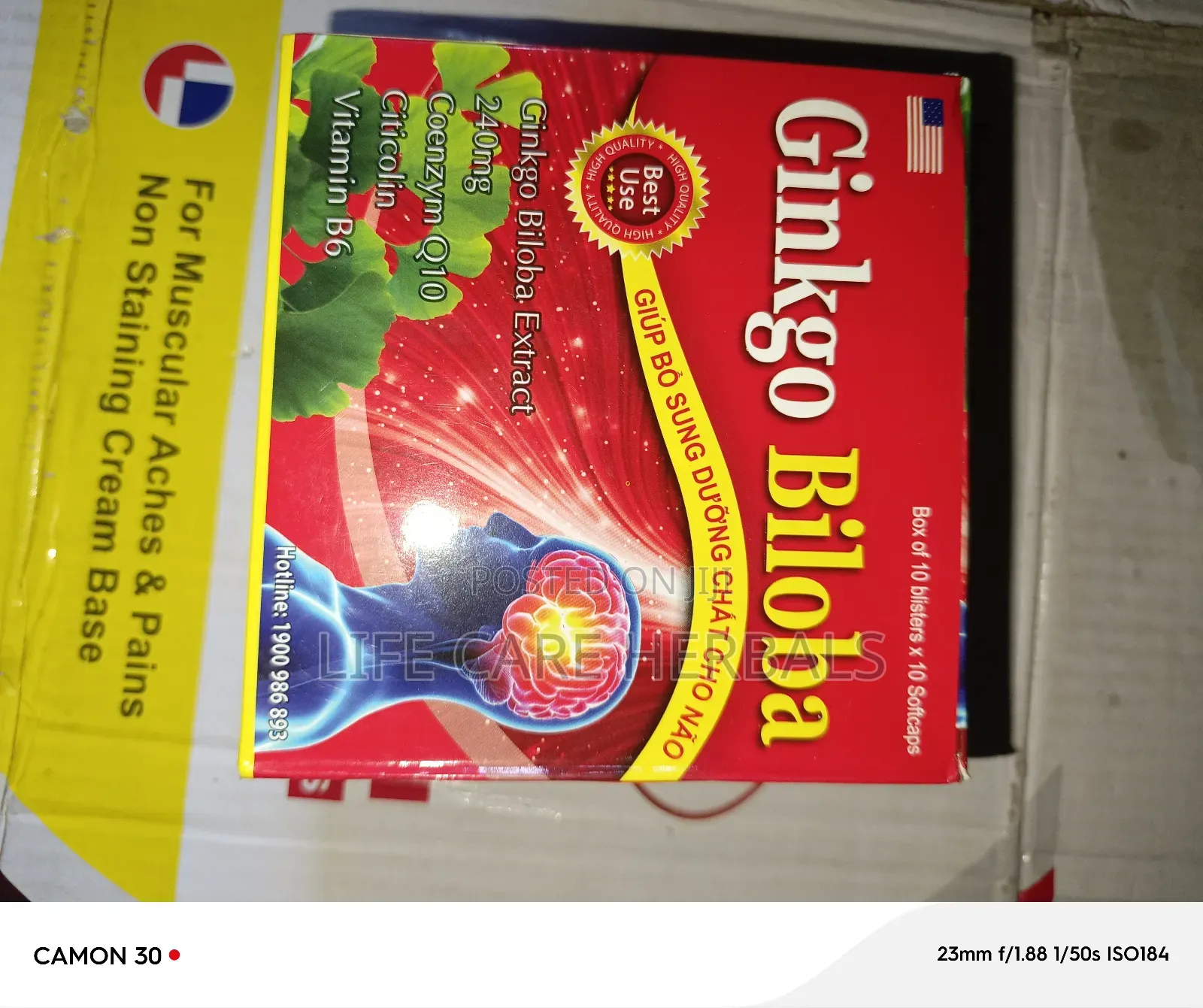 Ginkgo Biloba Herbal Capsule