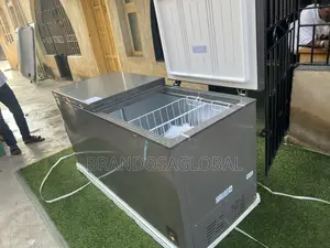 Hisense 500l Silver Double Door Freezer Frz Fc 66dd Fast Chill
