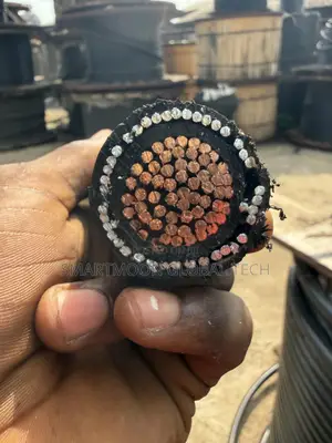 300mm Single Armored Cable