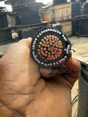 300mm Single Armored Cable