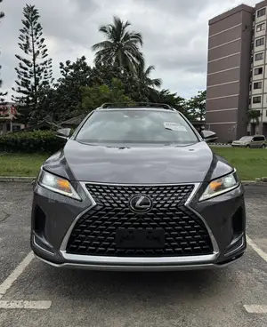 Lexus RX 350 2022 Gray