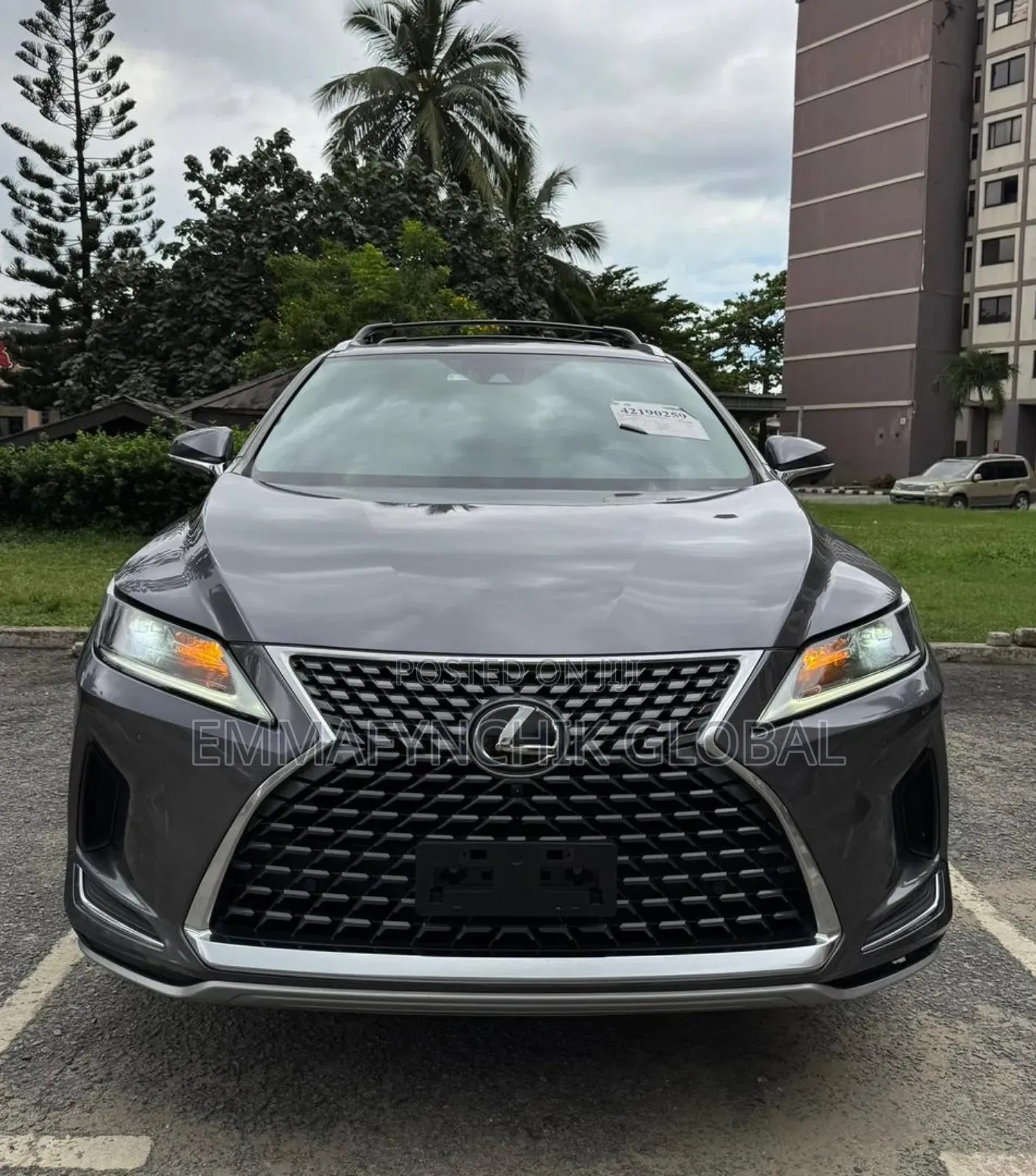 Lexus RX 2021 Gray