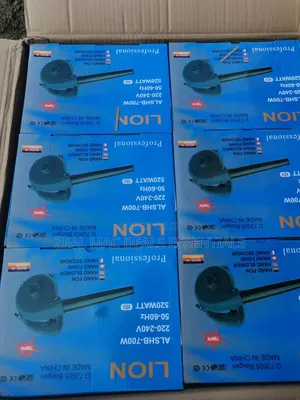 Lion Electric Air Blower