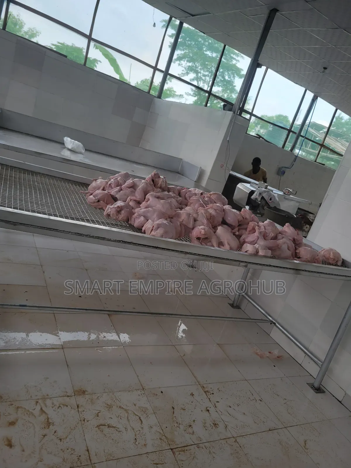 Complete Chicken Processing Equipments