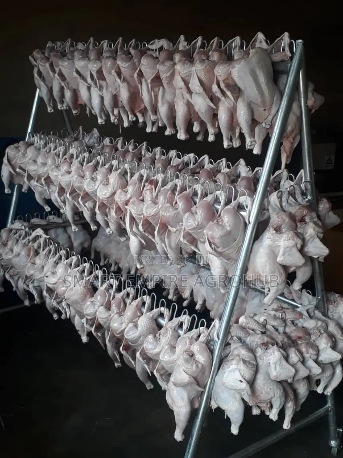 Complete Chicken Processing Equipments