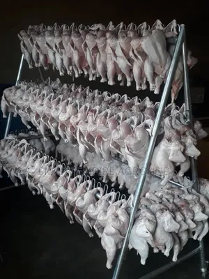 Complete Chicken Processing Equipments