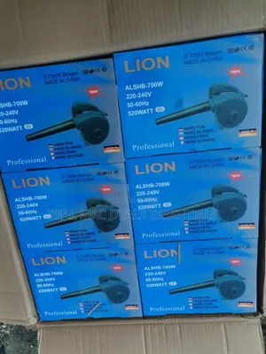 Lion Electric Air Blower