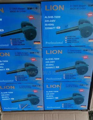 Lion Electric Air Blower