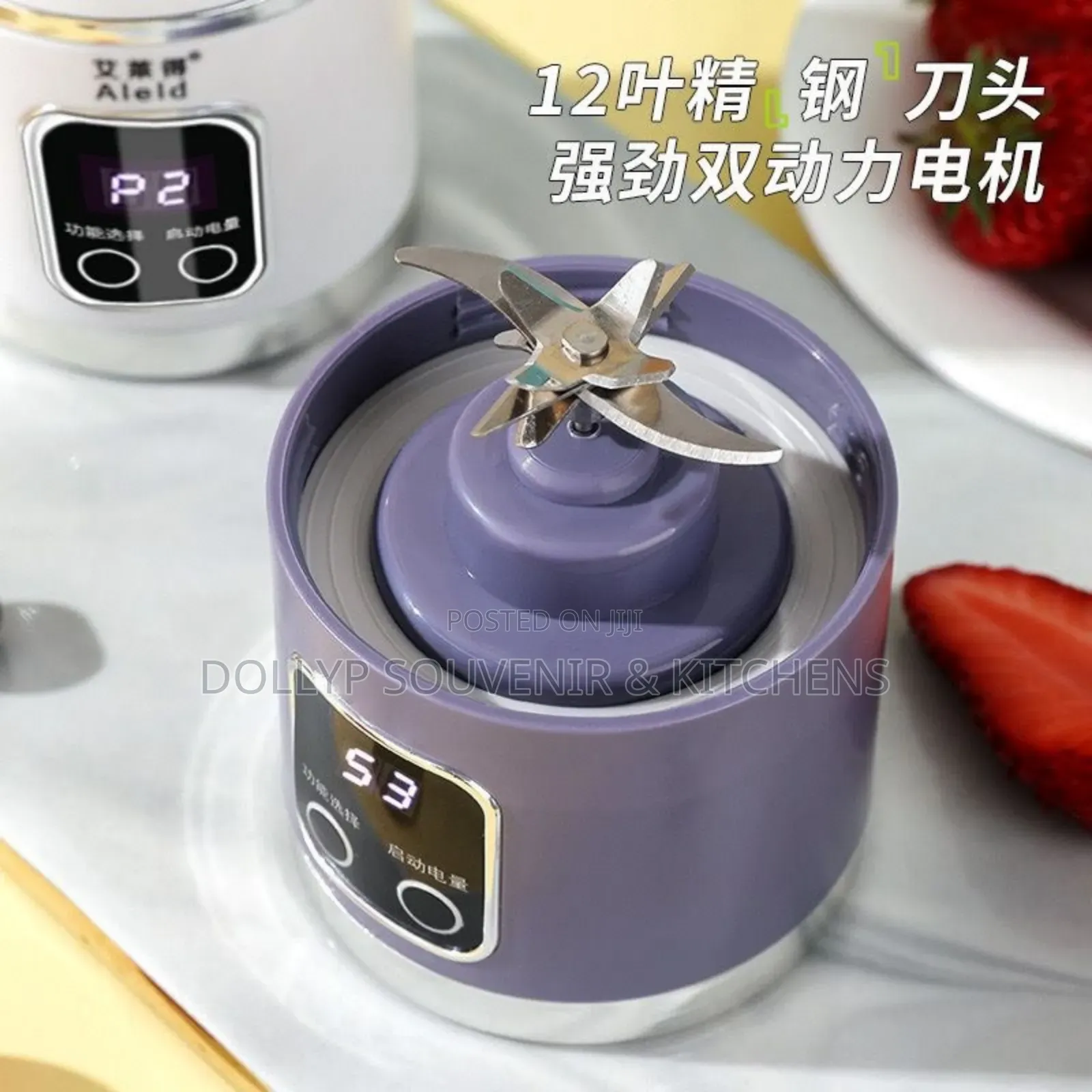 Mini Juice Blender