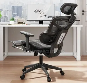 Mesh Ergonomic Chair