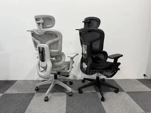 Mesh Ergonomic Chair