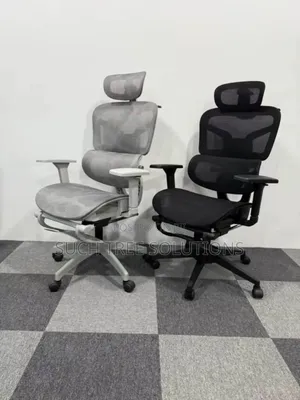 Mesh Ergonomic Chair