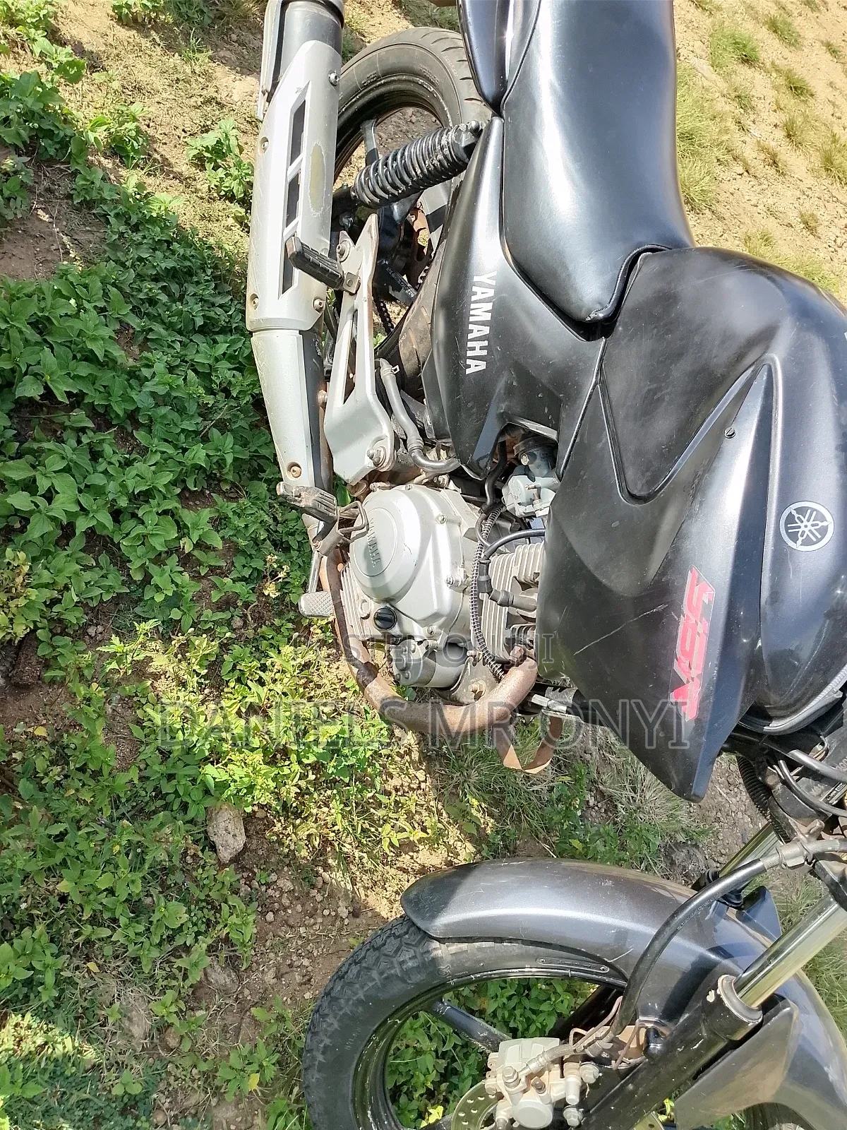 Yamaha YBR 2019 Black