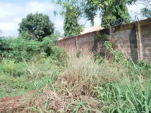 Plot of Land