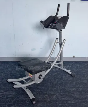 Commercial Ab Roller