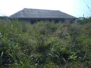 Plot of Land