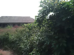 Plot of Land