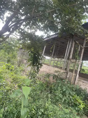 2.5plot With Poultry House Ringed Well For Sale In Lamini Akufo,Ibadan