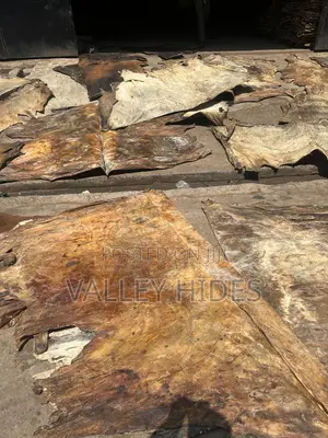 Ponmo /Cowhides/Cowskin