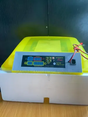 56 Eggs Incubator (Dc and Inverter)