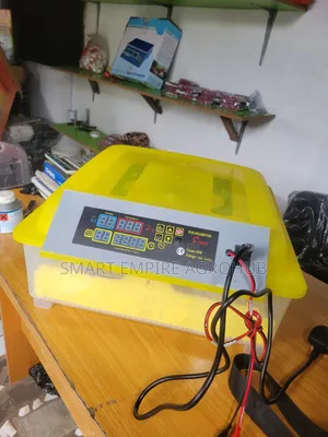 56 Eggs Incubator (Dc and Inverter)