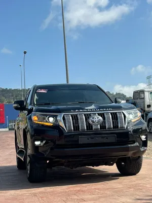 Car Rentals Services