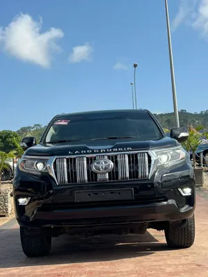 Car Rentals Services