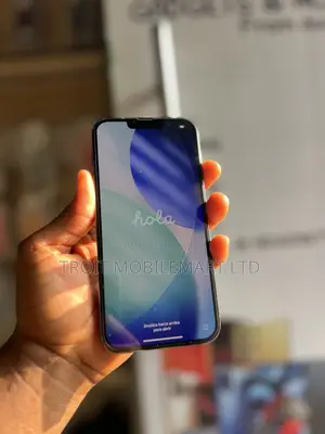 Apple iPhone 13 Pro Max 128 GB Blue