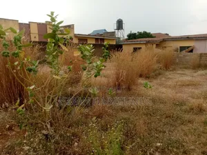 Usmanty International Properties LTD
