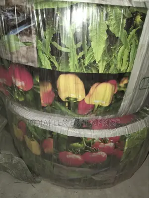 Drip Irrigation