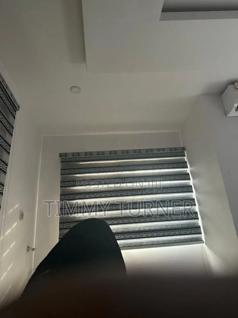 Window Blinds