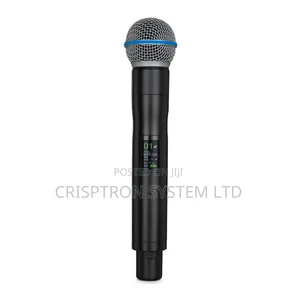 G4/Micb Acemic True Stage Diversity Wireless Microphone