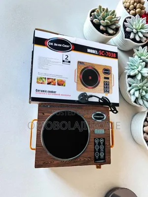 Silver Crest Infrared Electric Cooker