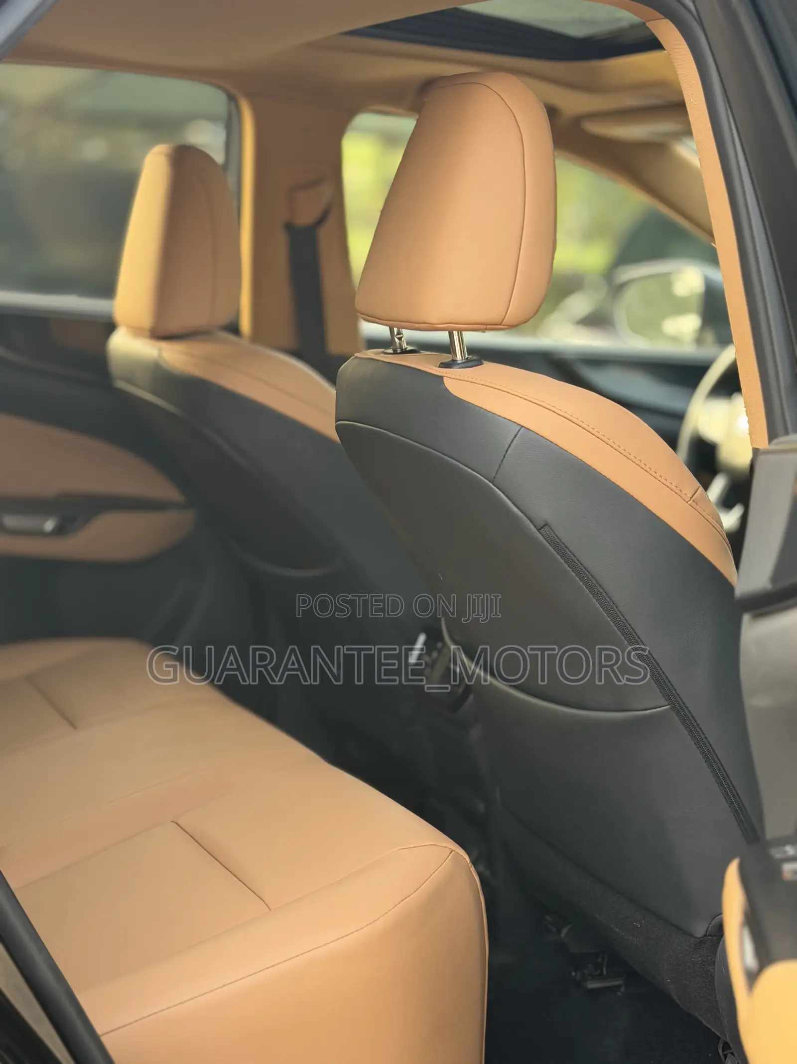 Lexus NX 2023 Blue