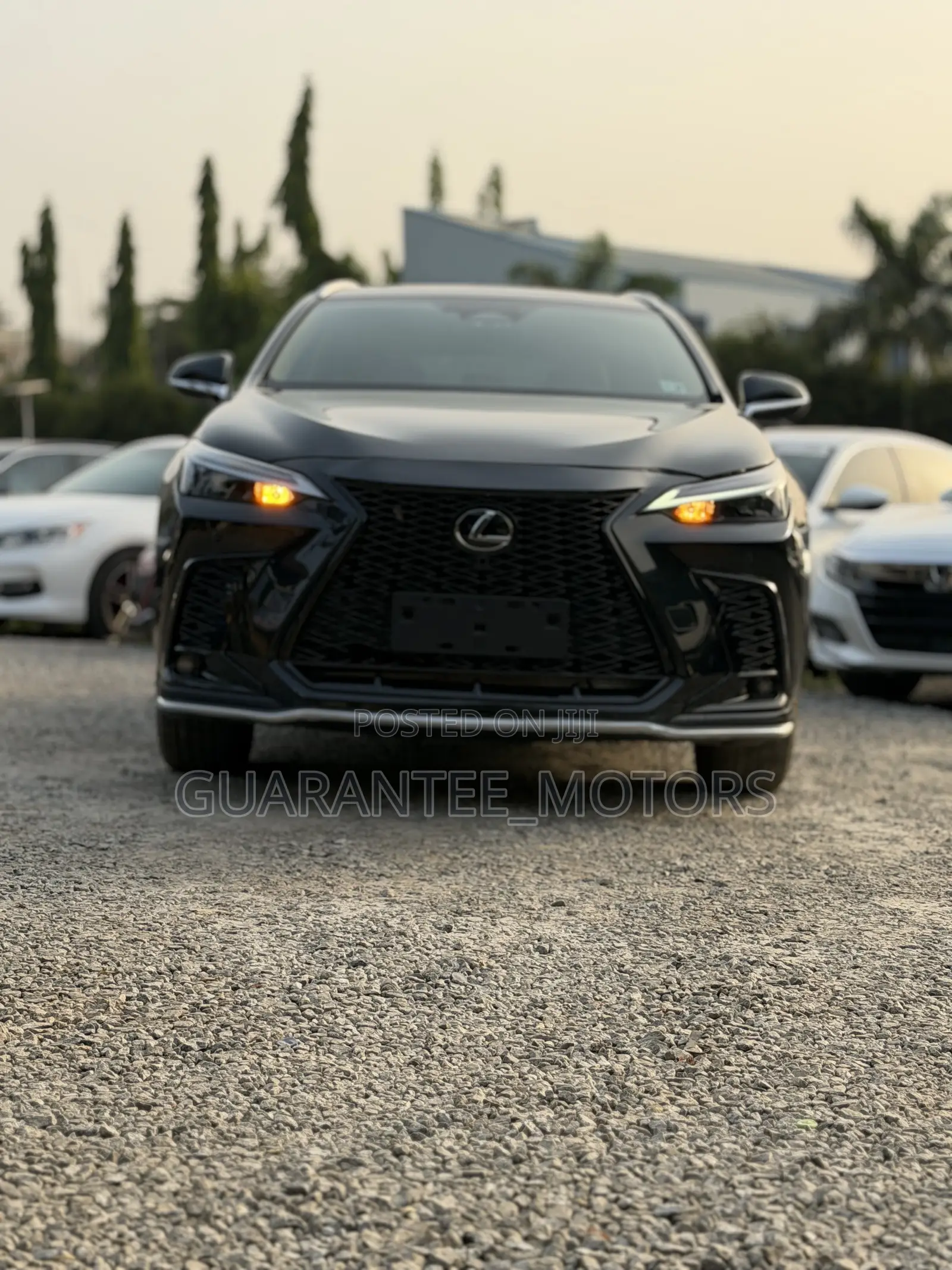 Lexus NX 2023 Blue