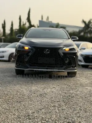 Lexus NX 2023 Blue