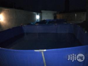 Fish Pond And Accessories