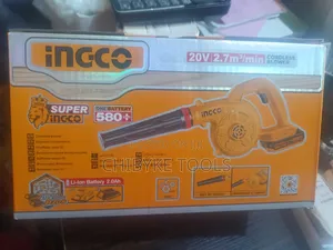 20v Ingco Cordless Air Blower