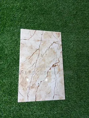 Toilet Wall Tiles
