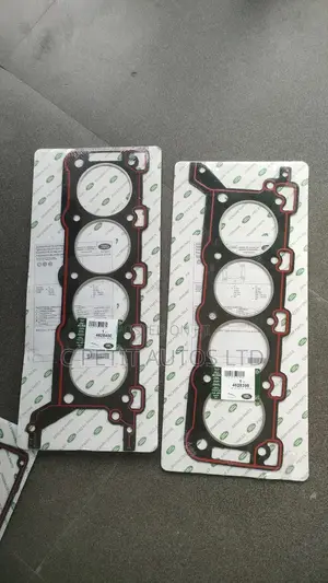 Top Cylinder Gasket