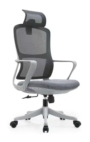 Mesh Executive Office Chair