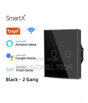 Tuya 2 Gang Smart Wifi Wall Switch