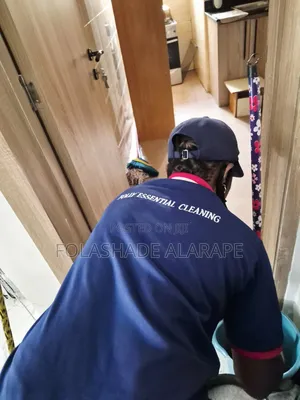 Professional Cleaning