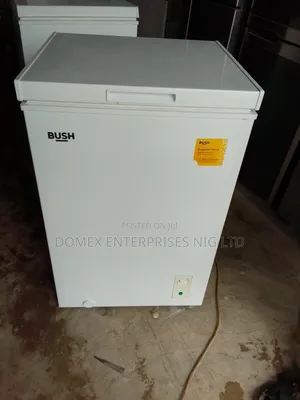 Chest Freezer for Block or Home Use