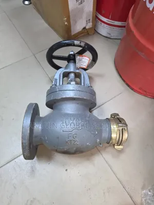 Cast Iron Angle Hose Valve Jis F7333a 
