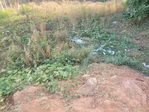 10 Hectares of Land for Sale at Guzape 2 With C of O, Mixed Use