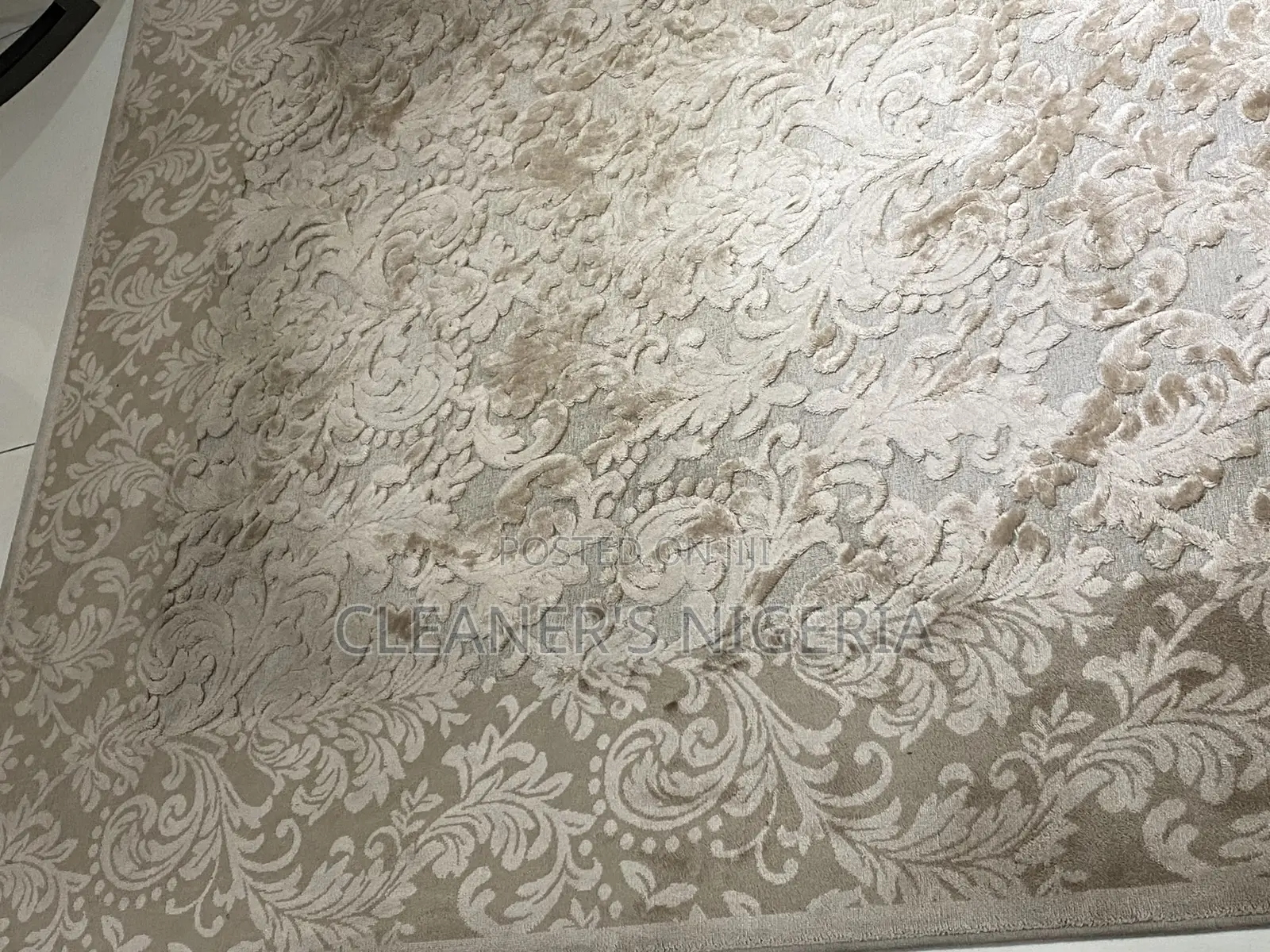 Upholstery and Carpet Cleaning